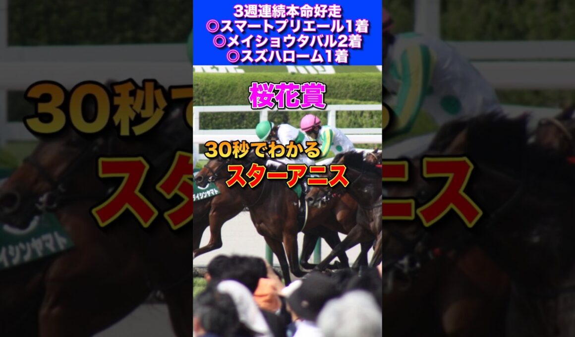 【桜花賞2026】30秒でわかるスターアニス