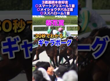 【桜花賞2026】30秒でわかるギャラボーグ