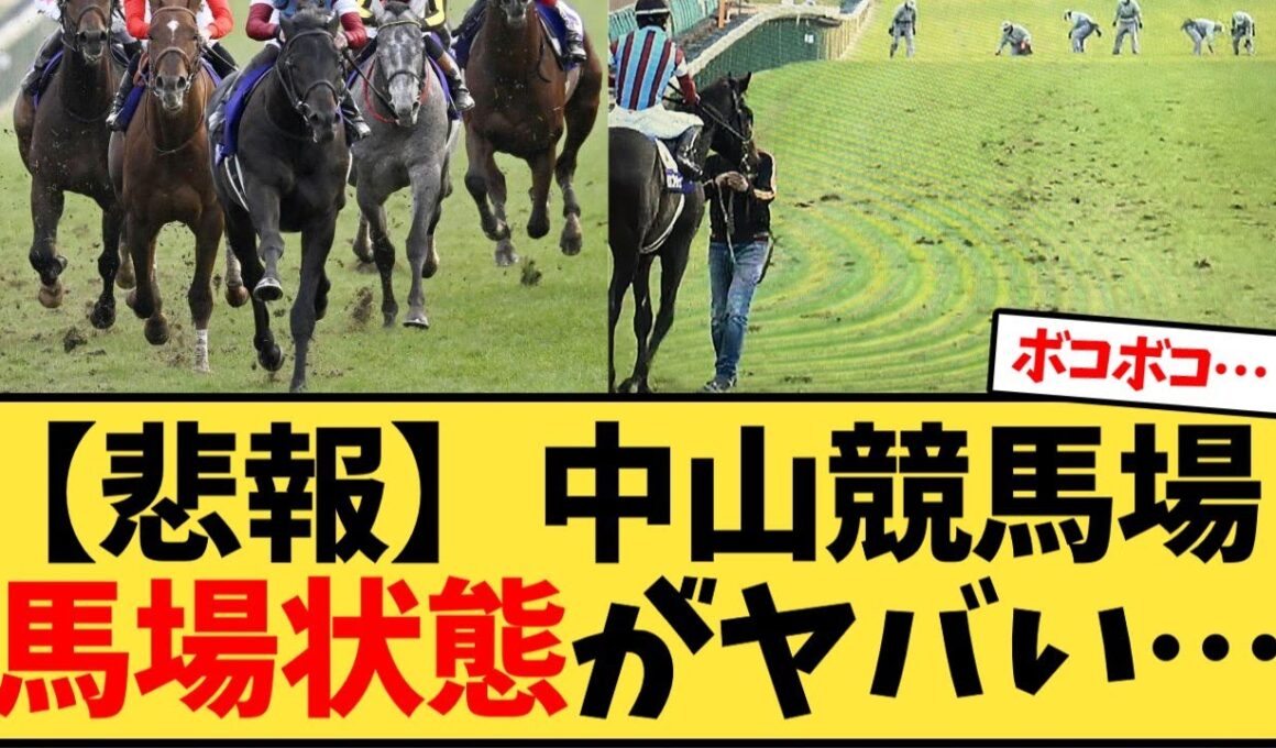 【有馬記念】中山競馬場  馬場状態がヤバい…【競馬反応集】