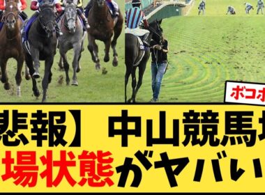 【有馬記念】中山競馬場  馬場状態がヤバい…【競馬反応集】