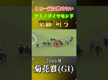 サトノダイヤモンド【2016年菊花賞(GI)】#競馬 #shorts #菊花賞 #サトノダイヤモンド