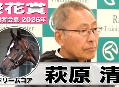 【桜花賞2026】ドリームコア・萩原清調教師「体はしっかりしてきた」「中々いない好馬体をしている」《JRA共同会見》