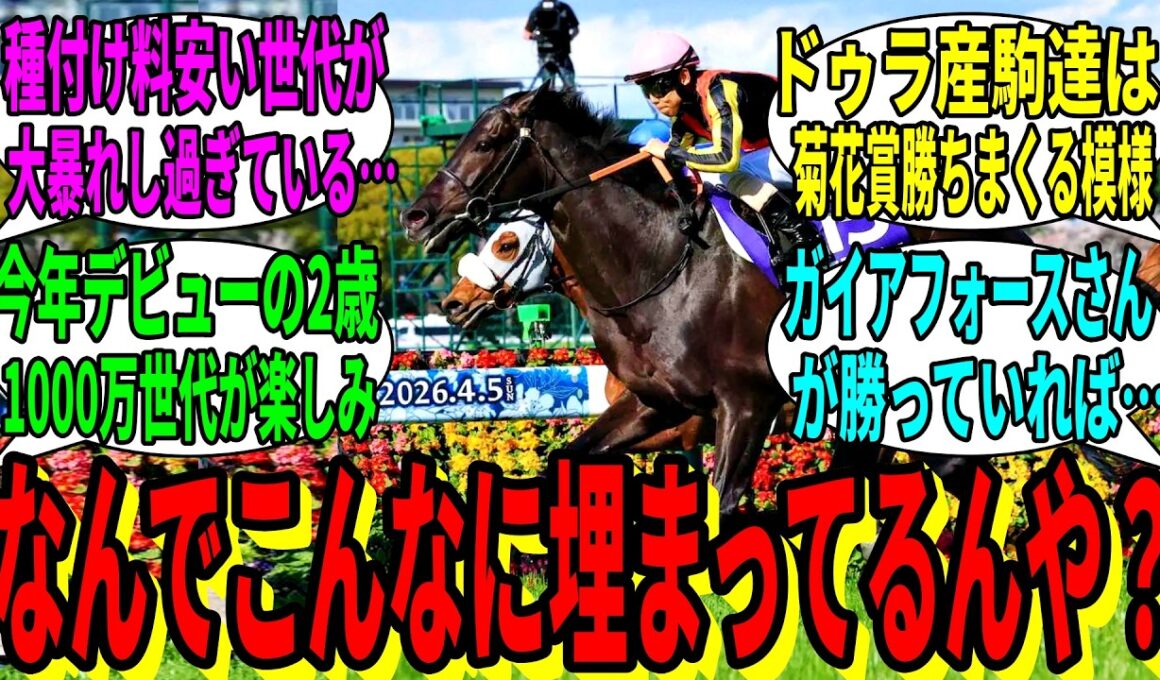 【競馬の反応集】「キタサンブラック産駒、残るは菊花賞と春天」に対する視聴者の反応集