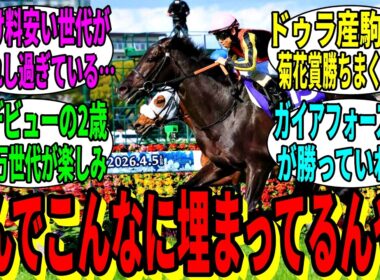 【競馬の反応集】「キタサンブラック産駒、残るは菊花賞と春天」に対する視聴者の反応集