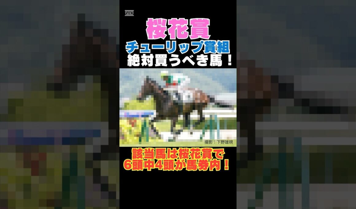 【桜花賞2026】チューリップ賞組から絶対買うべき馬！上該当馬は桜花賞で6頭中4頭が馬券内！