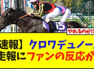 【速報】クロワデュノール次走報にファンの反応が…【競馬】