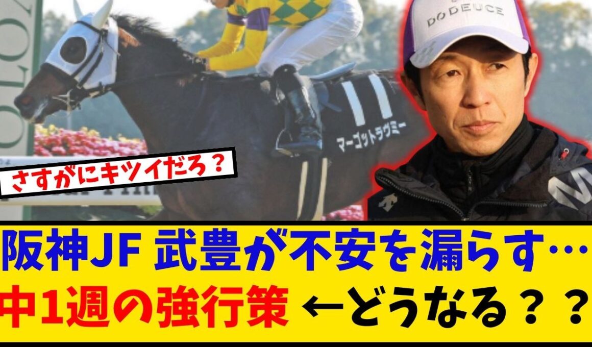 【阪神JF】「マーゴットラヴミー武豊騎手 中1週の強行策に不安の声…」に対するみんなの反応【反応集】