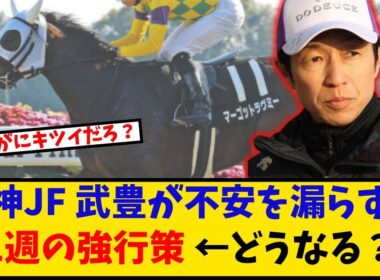 【阪神JF】「マーゴットラヴミー武豊騎手 中1週の強行策に不安の声…」に対するみんなの反応【反応集】