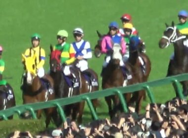 【大阪杯2026】カルガモ親子のようにゲートへ向かう強い馬さんたち 現地映像 クロワデュノール