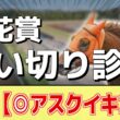 追い切り徹底解説！【桜花賞2026】ドリームコア、スターアニスなどの状態はどうか？調教S評価は2頭！