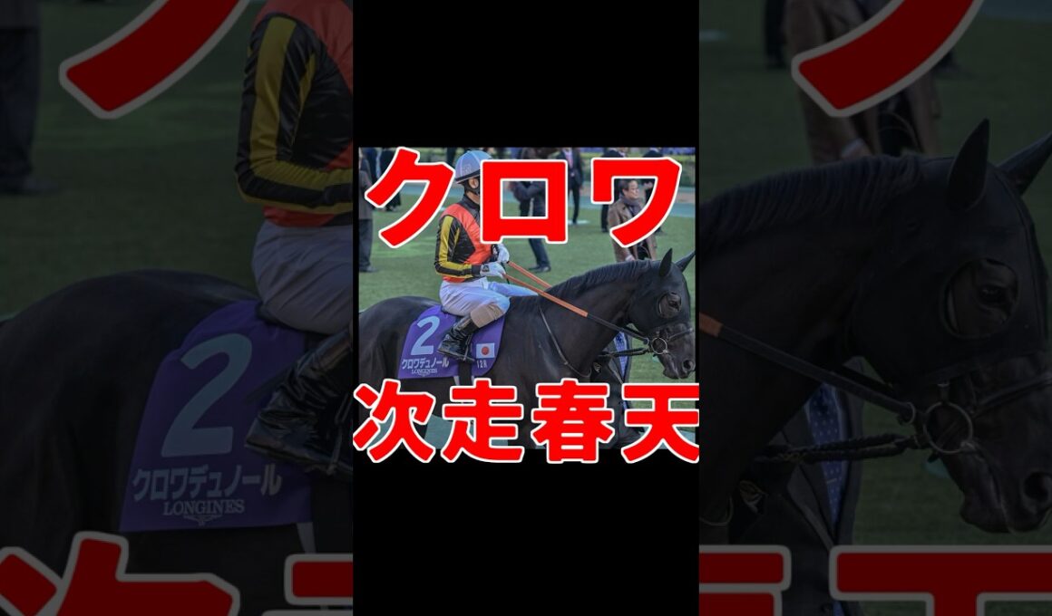 【春天参戦】クロワデュノールの次走は天皇賞・春　＃競馬　＃クロワデュノール