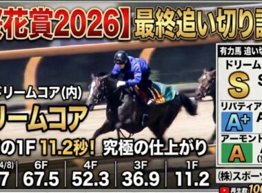 🎯【桜花賞2026】最終追い切り評価 | 1週前B＋のドリームコア最終では⁉️スターアニスは最終でも‼️リリージョワの馬体センスに注目したい‼️そしてギャラボーグの嫌嫌が出るのか⁉️立ち直れる‼️