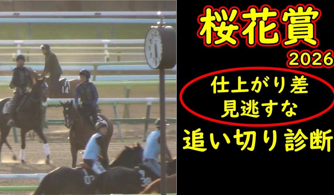 桜花賞2026追い切り診断｜仕上がりに“明確な差”あり？人気馬も例外ではない最終状態を徹底分析