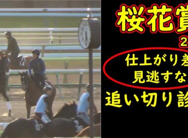 桜花賞2026追い切り診断｜仕上がりに“明確な差”あり？人気馬も例外ではない最終状態を徹底分析