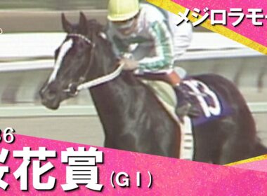 「堂々たる勝利！」1986年 桜花賞 (ＧⅠ) メジロラモーヌ　実況：杉本清【カンテレ公式】