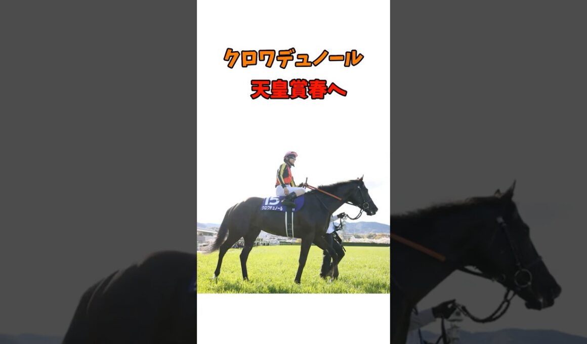 クロワデュノール、天皇賞春へ