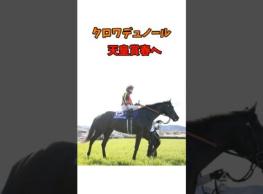 クロワデュノール、天皇賞春へ