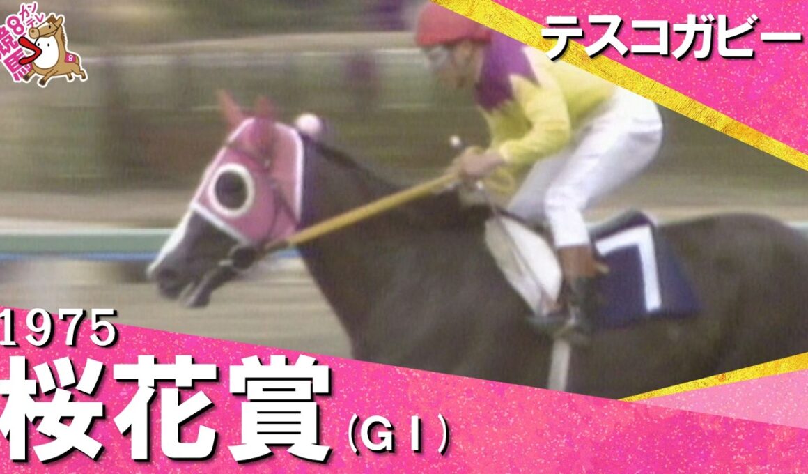 「後ろからは何も来ない！恐れ入った！」1975年 桜花賞 (ＧⅠ) テスコガビー　実況：杉本清【カンテレ公式】