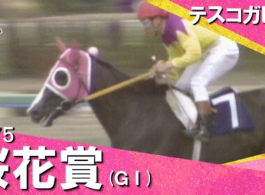 「後ろからは何も来ない！恐れ入った！」1975年 桜花賞 (ＧⅠ) テスコガビー　実況：杉本清【カンテレ公式】