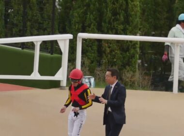 【ブラウンラチェット】秋華賞ゴール後に池添騎手下馬 故障発生⁈