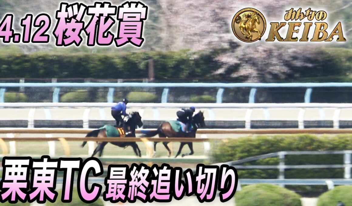 【2026 桜花賞・最終追い切り】クラシック開幕！2歳女王スターアニス登場！　みんなのKEIBA 4月12日 午後3時放送
