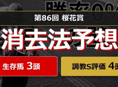 【競馬データ予想】桜花賞2026！危険な人気馬は消し！？鉄板データで残った推奨馬を公開！ #消去法 #データ分析 #競馬予想 #競馬データ #桜花賞