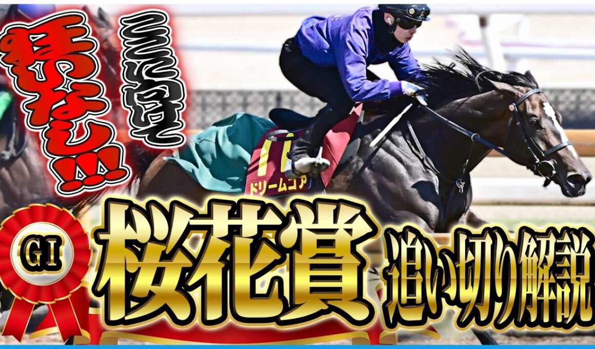 【桜花賞2026】混戦乱桜！？女王に最も近い馬は…？各出走馬の追い切りを東西記者が徹底解説します！《東スポ競馬》