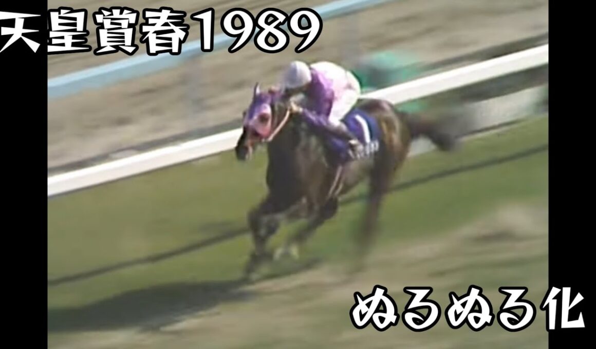 イナリワン  天皇賞春 1989 ぬるぬる化で見よう conv to 60fps