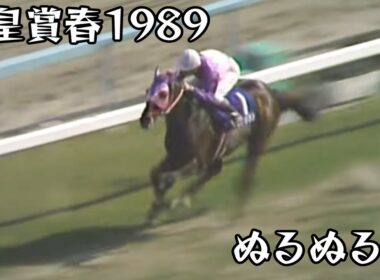 イナリワン  天皇賞春 1989 ぬるぬる化で見よう conv to 60fps
