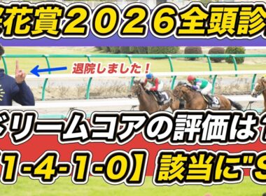 【桜花賞2026全頭診断】無事退院しました！スターアニス高評価も「1.4.1.0」該当の想定4人気以下に“S”評価