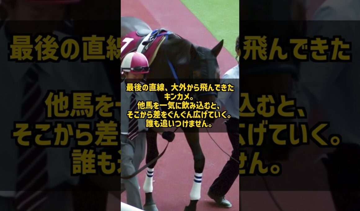 【伝説】5馬身差の衝撃 キングカメハメハのNHKマイルC 2004 #Shorts #競馬