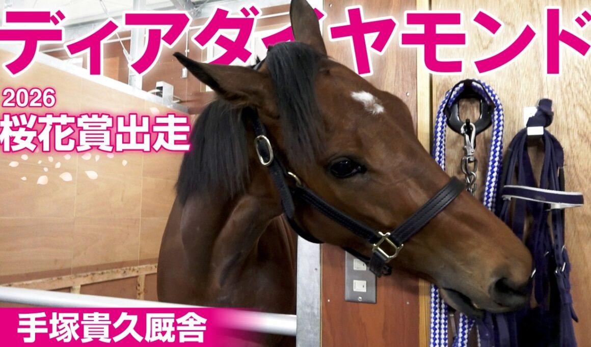 【桜花賞】ディアダイヤモンドは「厩舎のアイドル」 ファンサもお手のもの♡ドアップでカメラ目線も