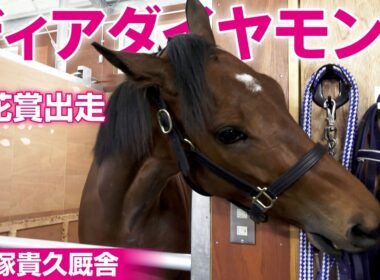 【桜花賞】ディアダイヤモンドは「厩舎のアイドル」 ファンサもお手のもの♡ドアップでカメラ目線も