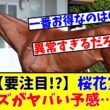 【桜花賞】【要注目!?】桜花賞のオッズがガチでヤバい予感…!?www