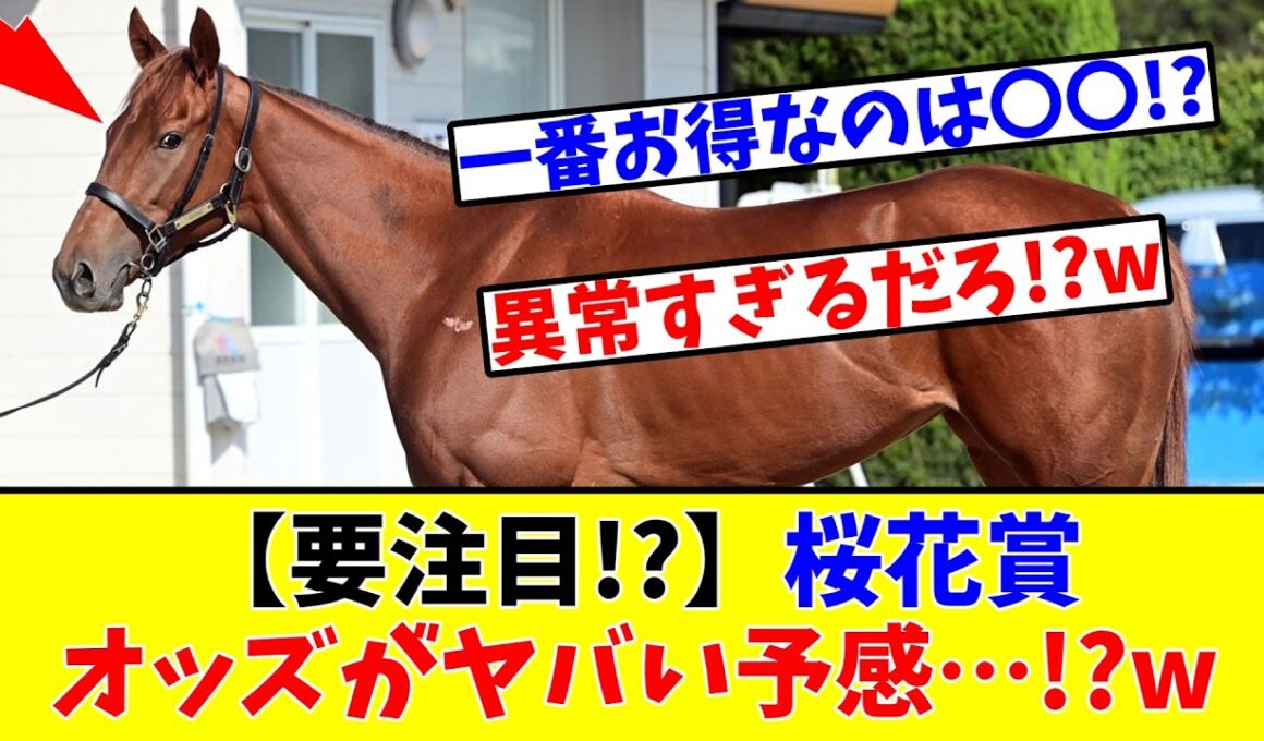 【桜花賞】【要注目!?】桜花賞のオッズがガチでヤバい予感…!?www