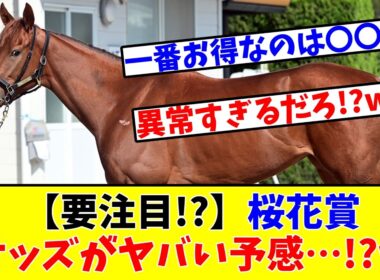 【桜花賞】【要注目!?】桜花賞のオッズがガチでヤバい予感…!?www