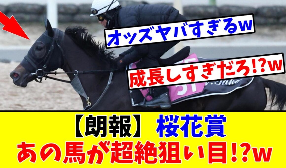 【桜花賞】【朗報】あの素質馬が超絶狙い目!?www