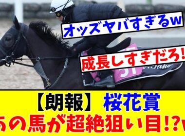 【桜花賞】【朗報】あの素質馬が超絶狙い目!?www