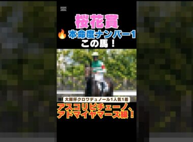 【桜花賞2026】本命度ナンバー1はこの馬🔥アスコリピチェーノ、アドマイヤマーズ級！