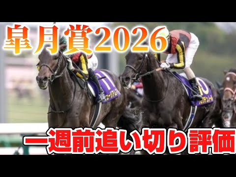 皐月賞2026 一週前追い切り評価