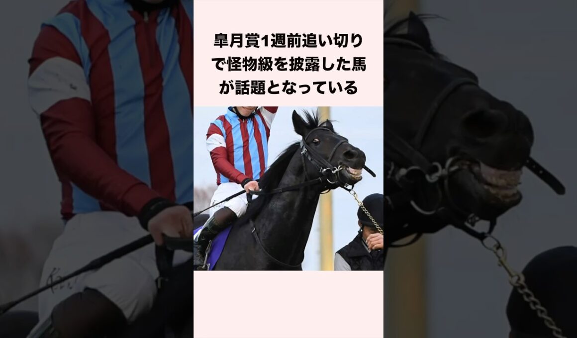 皐月賞1週前追い切りで怪物級を披露した馬が話題となっている #競馬 #競馬予想 #shorts