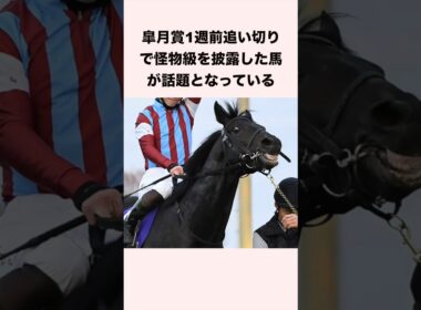 皐月賞1週前追い切りで怪物級を披露した馬が話題となっている #競馬 #競馬予想 #shorts