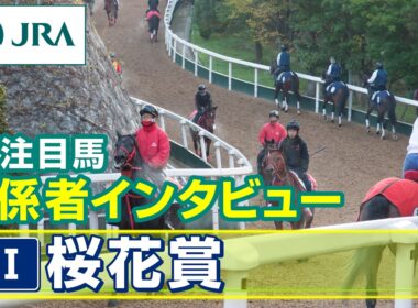 【注目馬 関係者インタビュー】2026年 桜花賞｜JRA公式