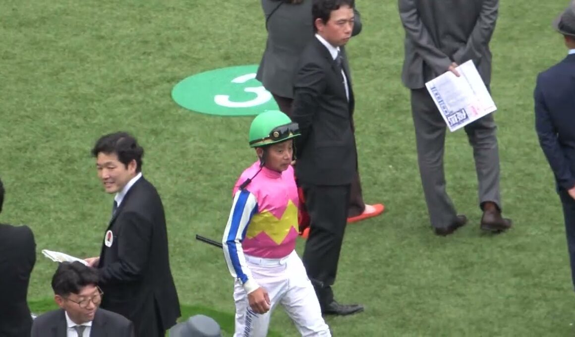 【安田記念2025】GⅠの風景のパドック～全頭パドック 現地映像 ジャンタルマンタル