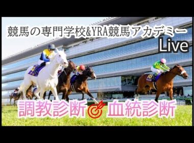 【桜花賞2026】メンバーシップ会員限定ライブ配信公開 調教診断＆血統傾向🐎 有力馬馬体診断