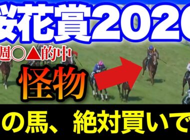 前走恩恵で軽視されまくってるが、今回も恩恵を受けそうな特大大穴馬がいます🏇🔥【桜花賞 2026】