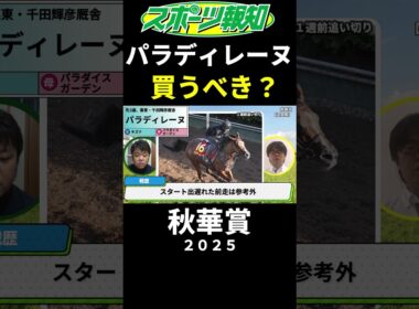 【秋華賞2025】パラディレーヌを買うべき？競馬記者の見解は