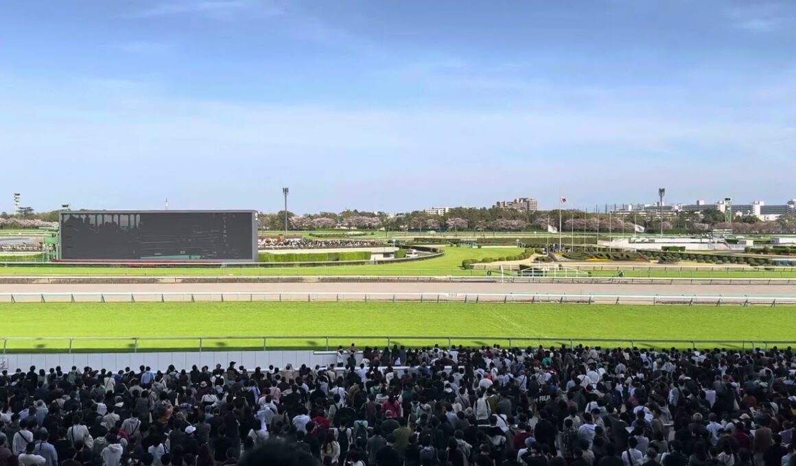 2024 中山グランドジャンプ イロゴトシ 現地