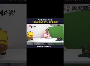【桜花賞2026】「これは揺るぎない」岡井塾長＜S評価＞の一頭は？【岡井塾】 #桜花賞 #Winsight #競馬予想 #スターアニス #本命