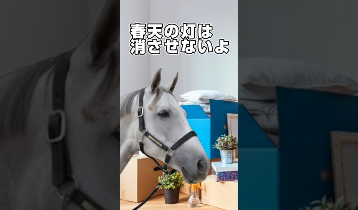 『ゴルシも勝った天皇賞春の灯』